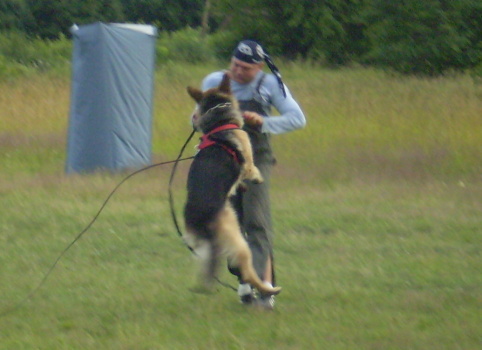 Training in Estonia 6/2007